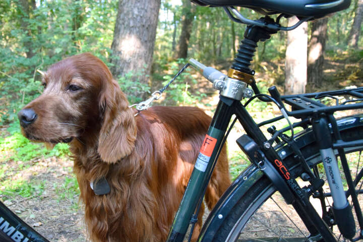 dobar Fahrradleine Walky Dog Plus